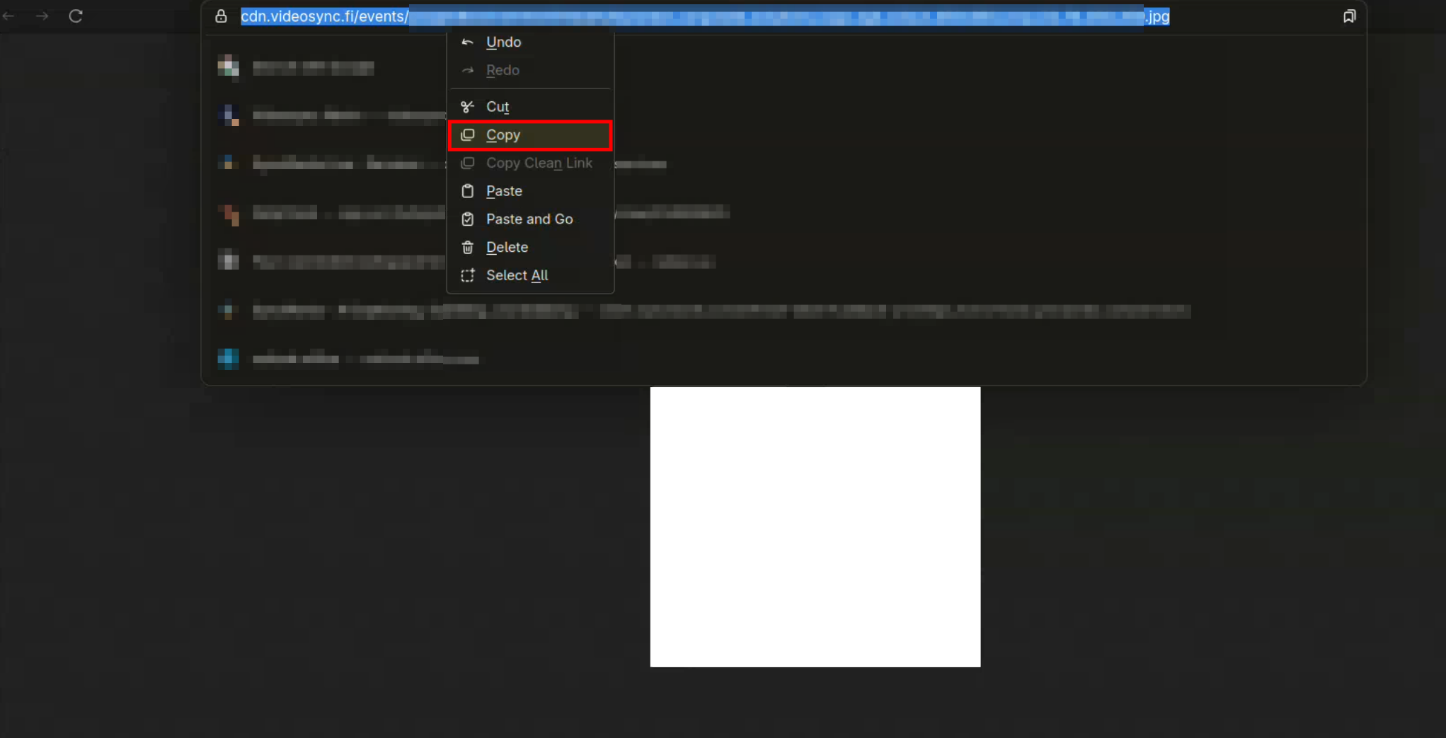 Copying the image URL